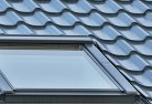 Leschenaultskylight-replacements.jpg; ?>